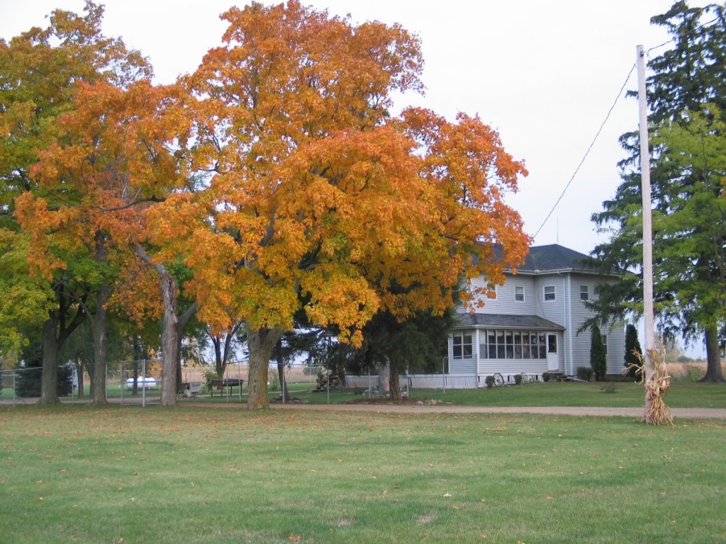 Our Michigan home in the autumn.