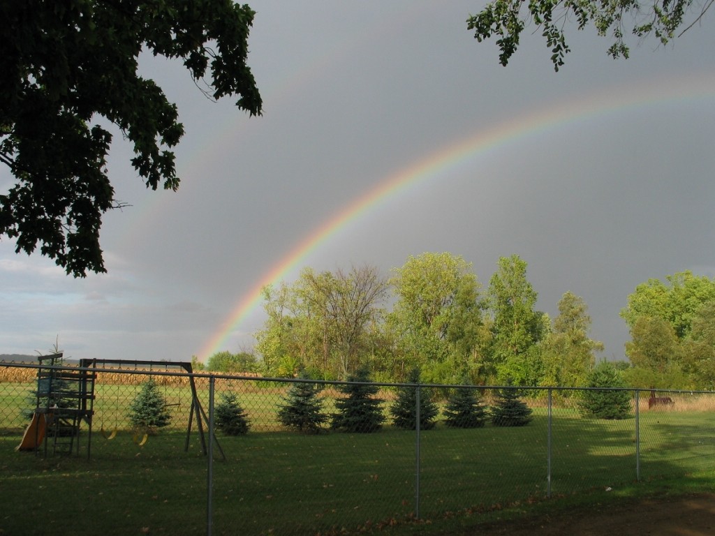 Rainbow from our yard in Michigan