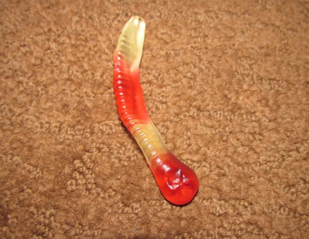 049 Gummy Worm