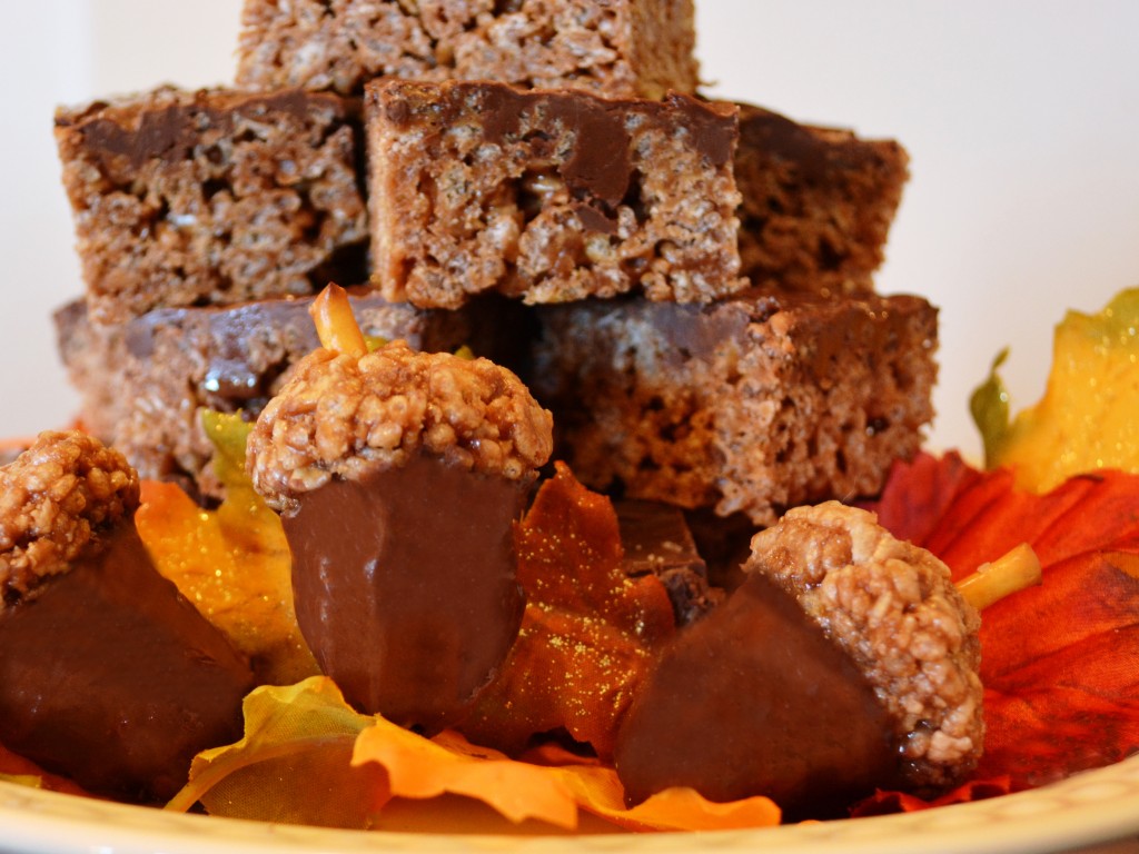 Scotchie Bars and Acorns from Amy's Kitchen